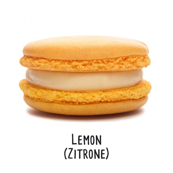 XL Premium Macaron - Box of 6 - Image 15